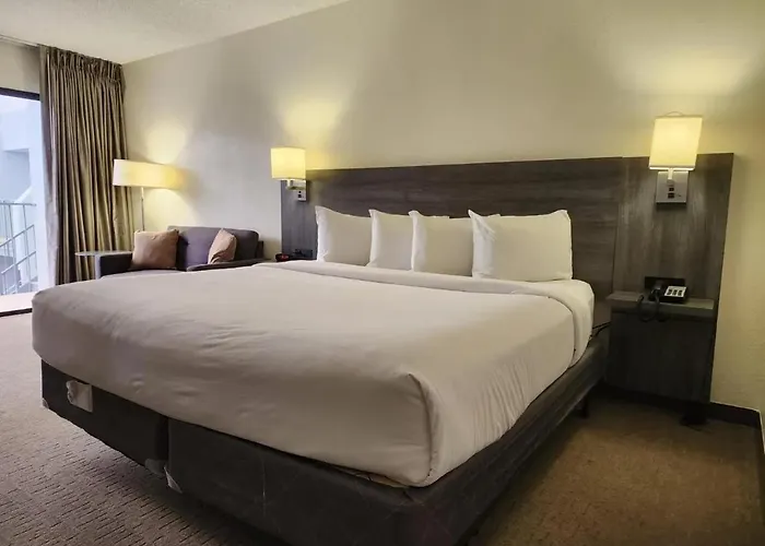 Las Palmas Hotel Tucson